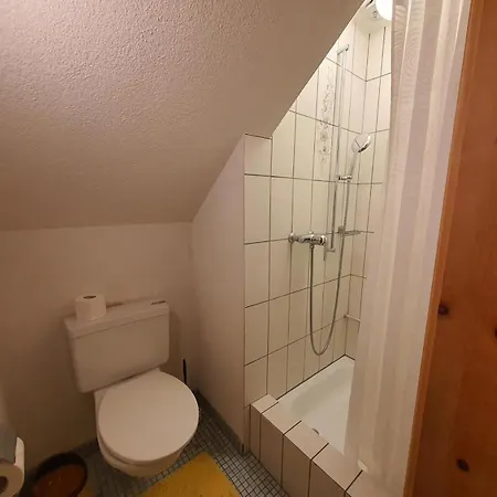 La Schmetta 65 Quadroni *